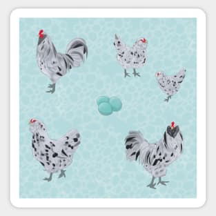 Splash Ameraucana Pattern Blue Sticker